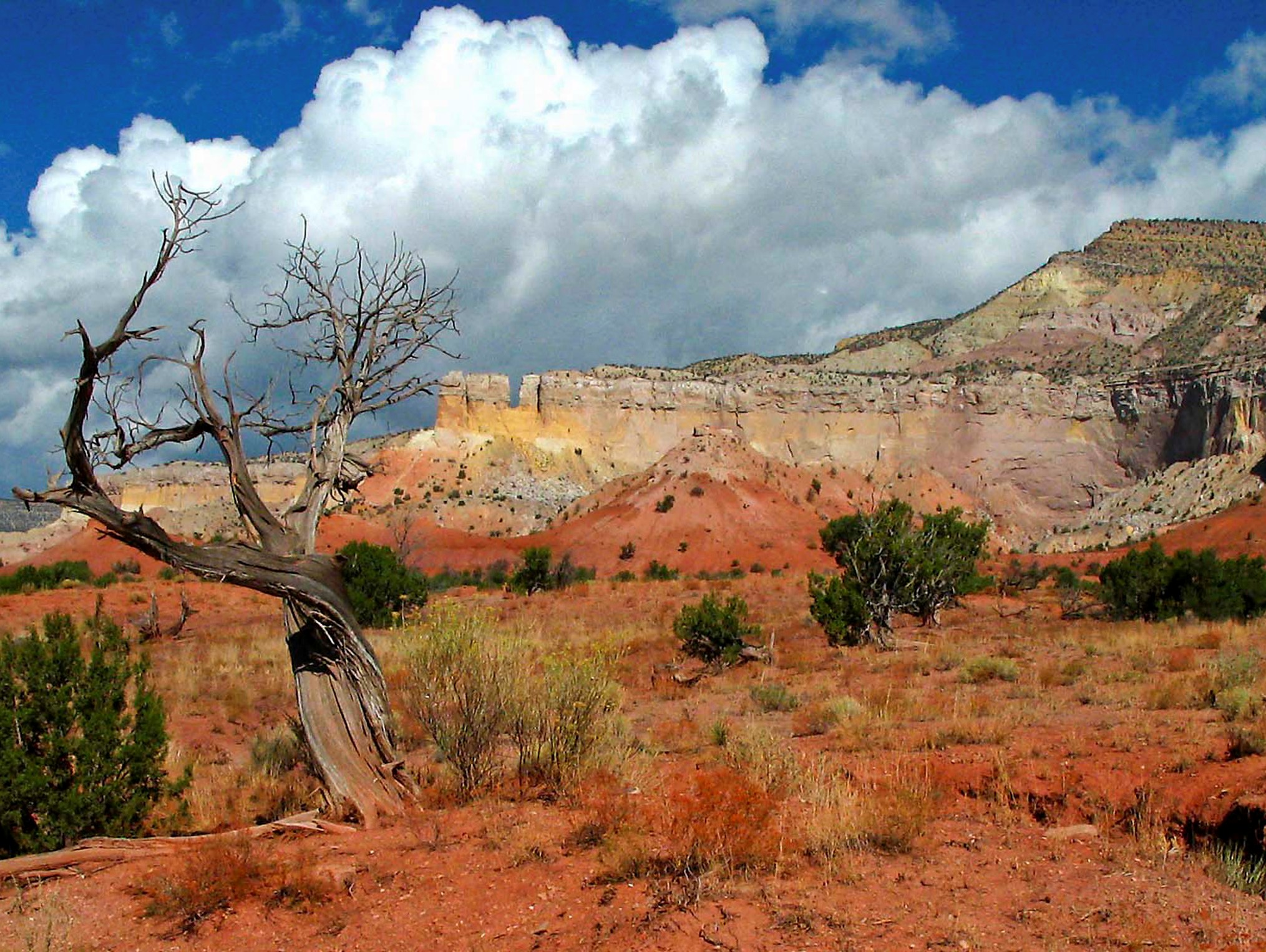 The-Painted-Desert_ClaudiaTammen-2
