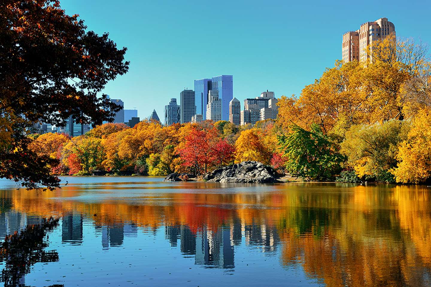 Fall in NYC 2